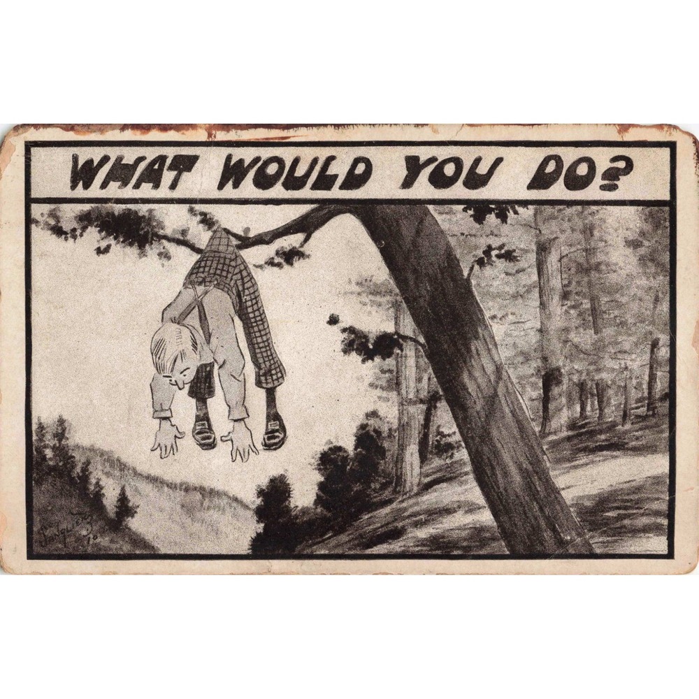 Vintage Comic Postcard What Would You Do? Boy Hanging from Tree No. 630 - Picture 1 of 2
